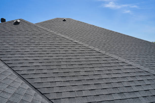 Best Solar Panel Roofing Installation  in La Plata, NM
